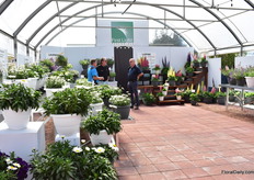 Trial area at Greenfuse Botanicals.